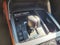 2025 Mazda Mazda CX-70 PHEV Premium Plus Package