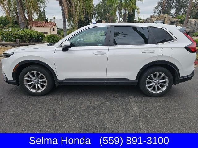 2024 Honda CR-V EX-L AWD's photo