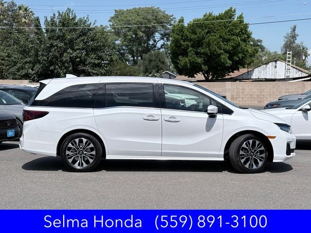 2026 Honda Odyssey Elite