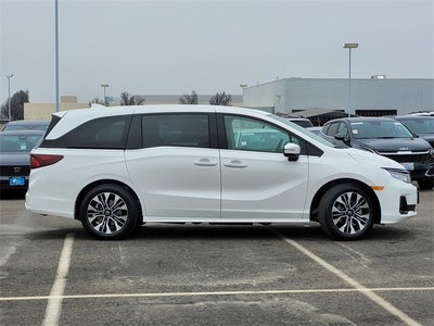 2026 Honda Odyssey Elite