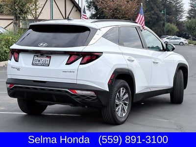 2024 Hyundai Tucson Hybrid Blue