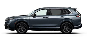 Selma Honda in Selma CA