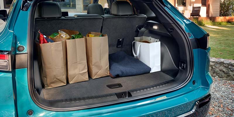 Open cargo area of a blue SUV filled with grocery bags.